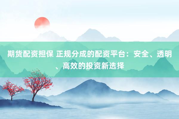 期货配资担保 正规分成的配资平台：安全、透明、高效的投资新选择