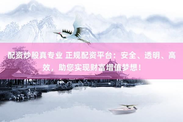 配资炒股真专业 正规配资平台：安全、透明、高效，助您实现财富增值梦想！