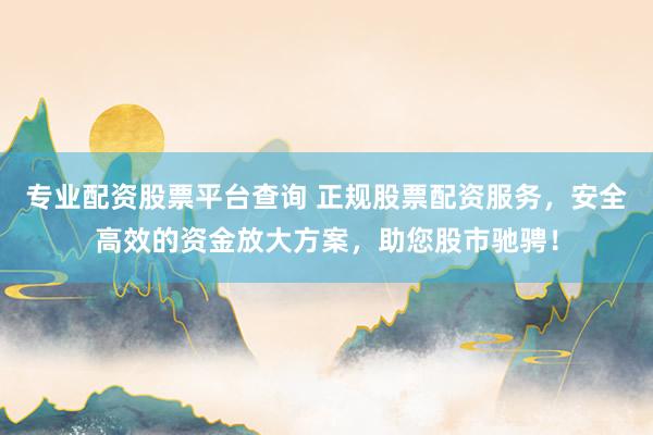 专业配资股票平台查询 正规股票配资服务，安全高效的资金放大方案，助您股市驰骋！