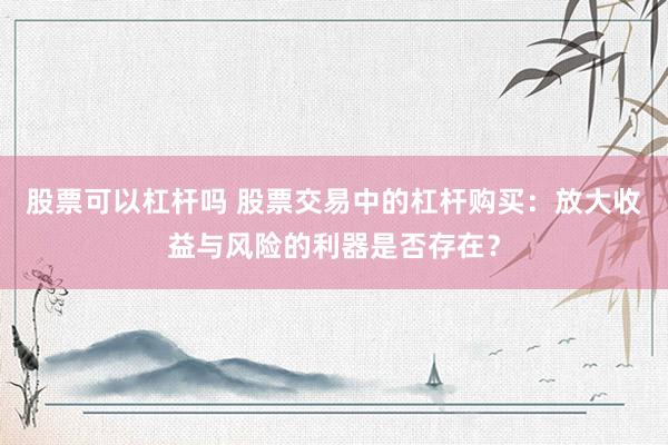 股票可以杠杆吗 股票交易中的杠杆购买：放大收益与风险的利器是否存在？