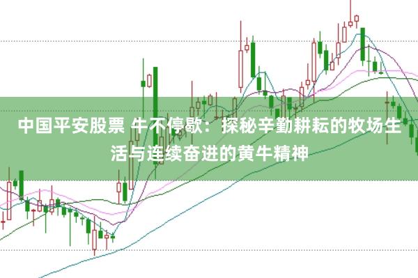 中国平安股票 牛不停歇：探秘辛勤耕耘的牧场生活与连续奋进的黄牛精神