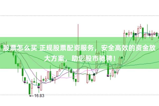 股票怎么买 正规股票配资服务，安全高效的资金放大方案，助您股市驰骋！