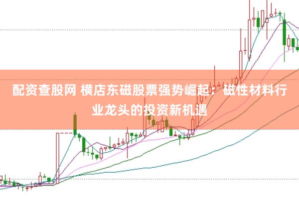 配资查股网 横店东磁股票强势崛起：磁性材料行业龙头的投资新机遇