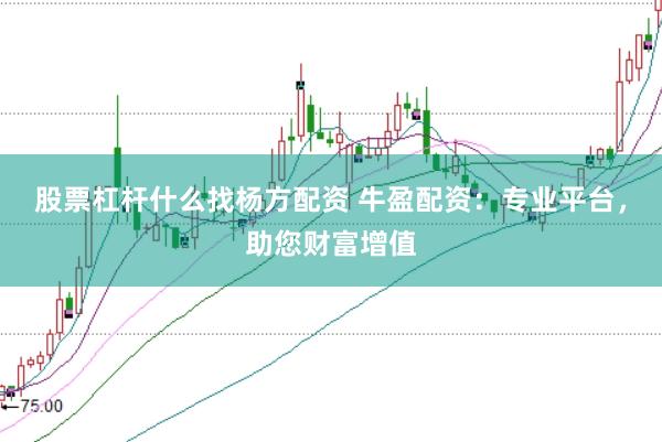 股票杠杆什么找杨方配资 牛盈配资：专业平台，助您财富增值