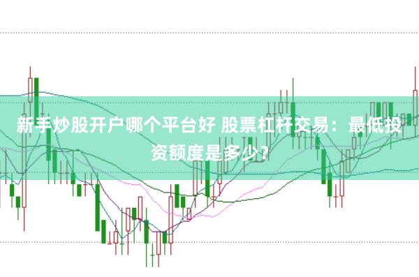 新手炒股开户哪个平台好 股票杠杆交易：最低投资额度是多少？