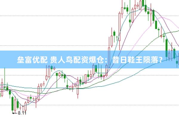 垒富优配 贵人鸟配资爆仓：昔日鞋王陨落？