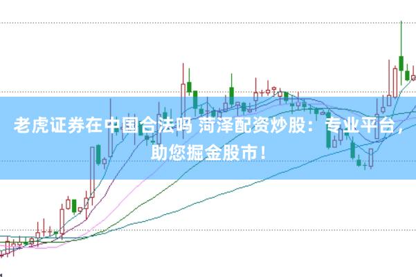 老虎证券在中国合法吗 菏泽配资炒股：专业平台，助您掘金股市！