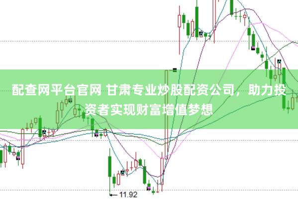 配查网平台官网 甘肃专业炒股配资公司，助力投资者实现财富增值梦想