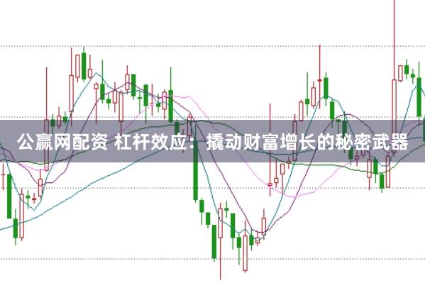 公赢网配资 杠杆效应：撬动财富增长的秘密武器