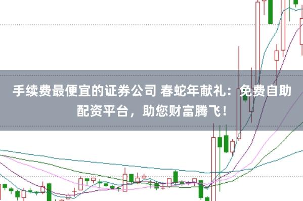 手续费最便宜的证券公司 春蛇年献礼：免费自助配资平台，助您财富腾飞！