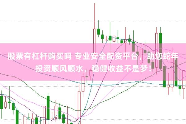 股票有杠杆购买吗 专业安全配资平台，助您蛇年投资顺风顺水，稳健收益不是梦！