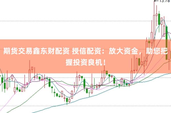 期货交易鑫东财配资 授信配资：放大资金，助您把握投资良机！
