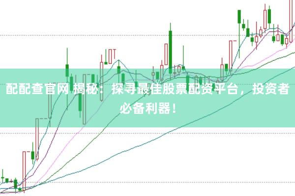 配配查官网 揭秘：探寻最佳股票配资平台，投资者必备利器！