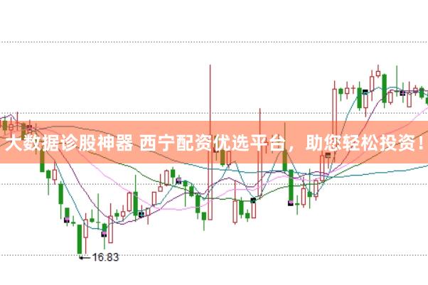 大数据诊股神器 西宁配资优选平台，助您轻松投资！