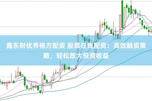 鑫东财优秀杨方配资 股票在线配资：高效融资策略，轻松放大投资收益