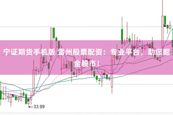 宁证期货手机版 雷州股票配资：专业平台，助您掘金股市！