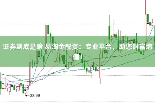 证券到底是啥 易淘金配资：专业平台，助您财富增值！