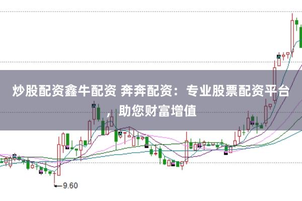 炒股配资鑫牛配资 奔奔配资：专业股票配资平台，助您财富增值