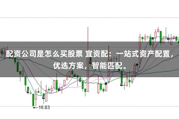 配资公司是怎么买股票 宜资配：一站式资产配置，优选方案，智能匹配。
