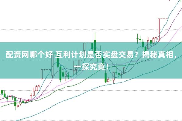 配资网哪个好 互利计划是否实盘交易？揭秘真相，一探究竟！