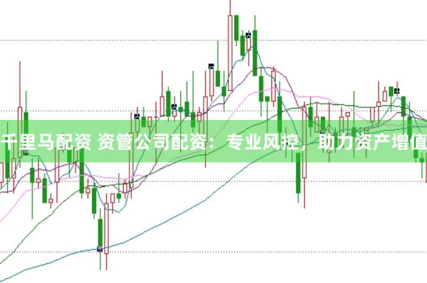 千里马配资 资管公司配资：专业风控，助力资产增值