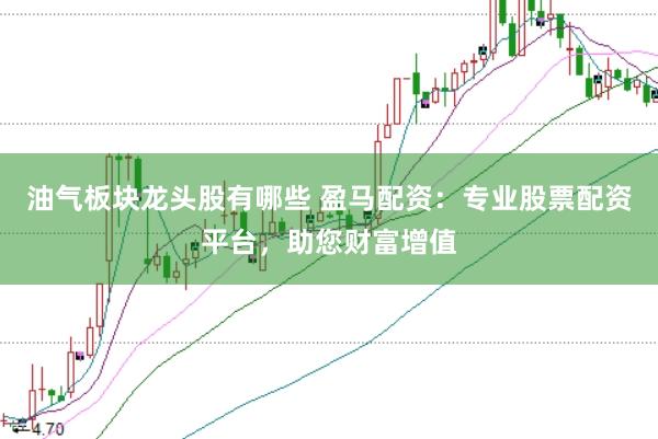 油气板块龙头股有哪些 盈马配资：专业股票配资平台，助您财富增值