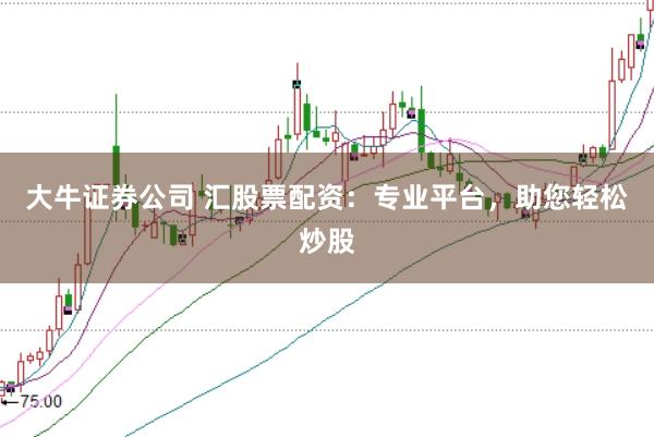 大牛证券公司 汇股票配资：专业平台，助您轻松炒股
