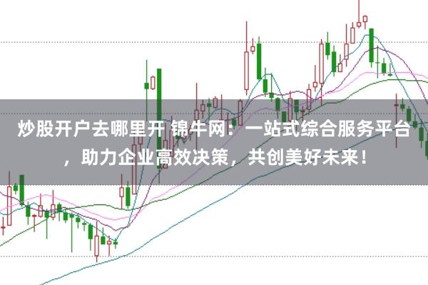 炒股开户去哪里开 锦牛网：一站式综合服务平台，助力企业高效决策，共创美好未来！