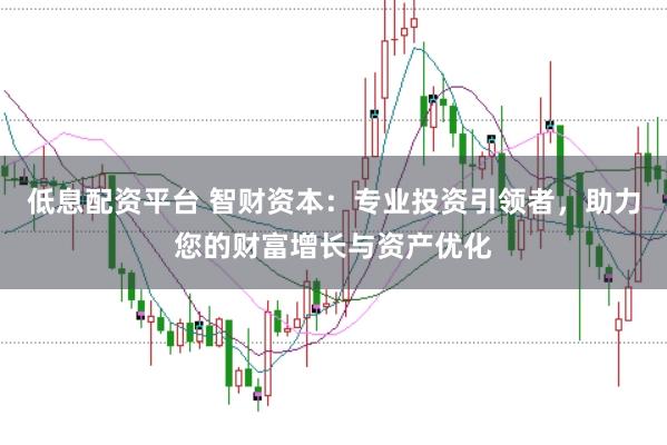 低息配资平台 智财资本：专业投资引领者，助力您的财富增长与资产优化