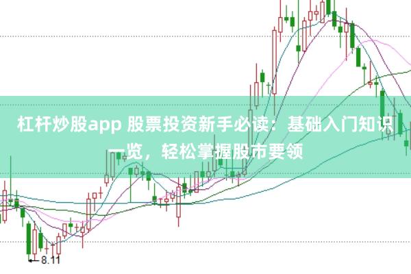 杠杆炒股app 股票投资新手必读:基础入门知识一览,轻松掌握股市要领