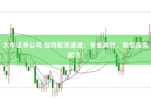 大牛证券公司 信鸽配资通道:专业高效,助您投资起飞!