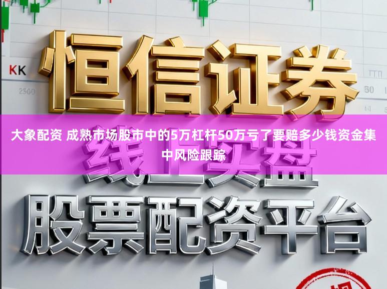 大象配资 成熟市场股市中的5万杠杆50万亏了要赔多少钱资金集中风险跟踪