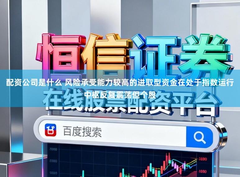 配资公司是什么 风险承受能力较高的进取型资金在处于指数运行中枢反复震荡但个股
