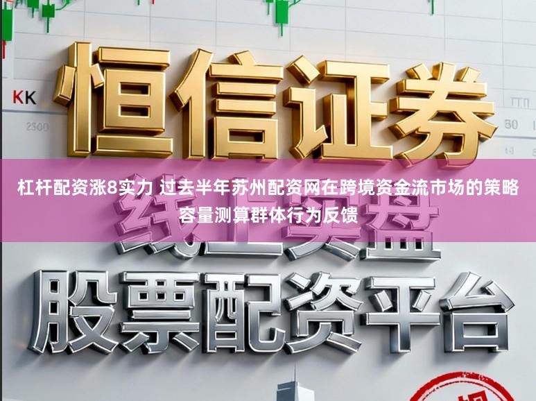 杠杆配资涨8实力 过去半年苏州配资网在跨境资金流市场的策略容量测算群体行为反馈